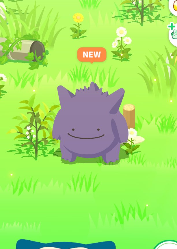 🍋 i _ i)치차🍋/こん tweet media