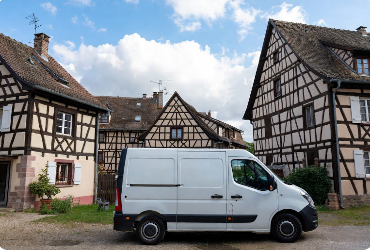 Wolf 🐺 tweet media