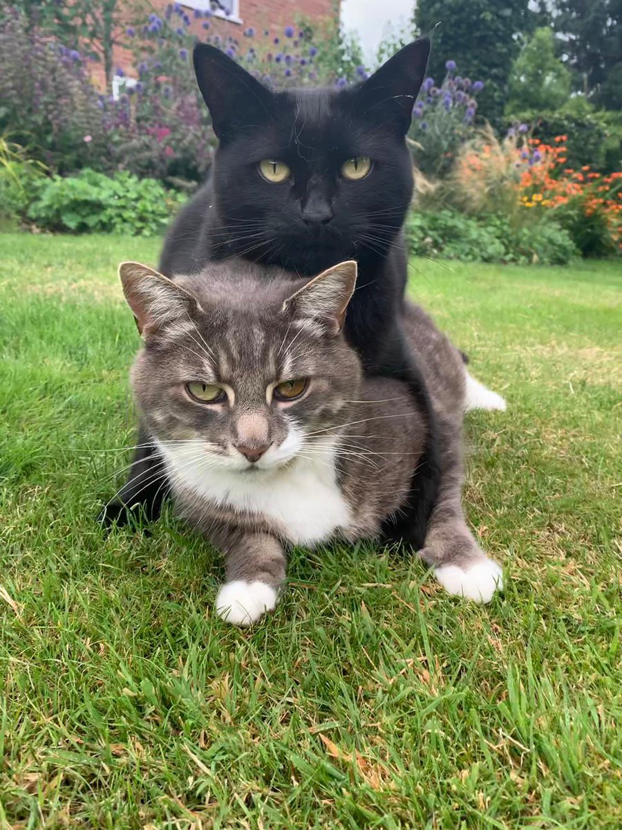 James C Warne tweet media