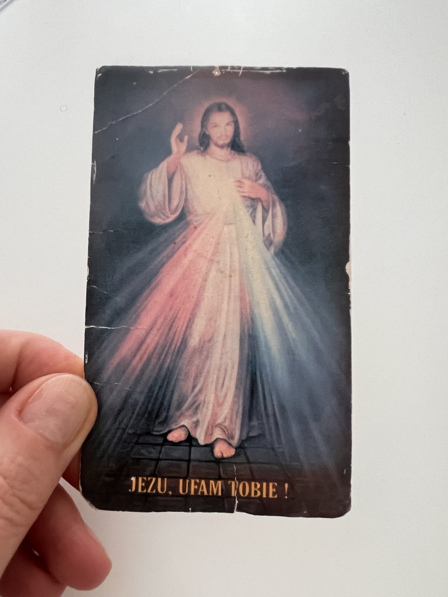 Alex Królewska tweet media