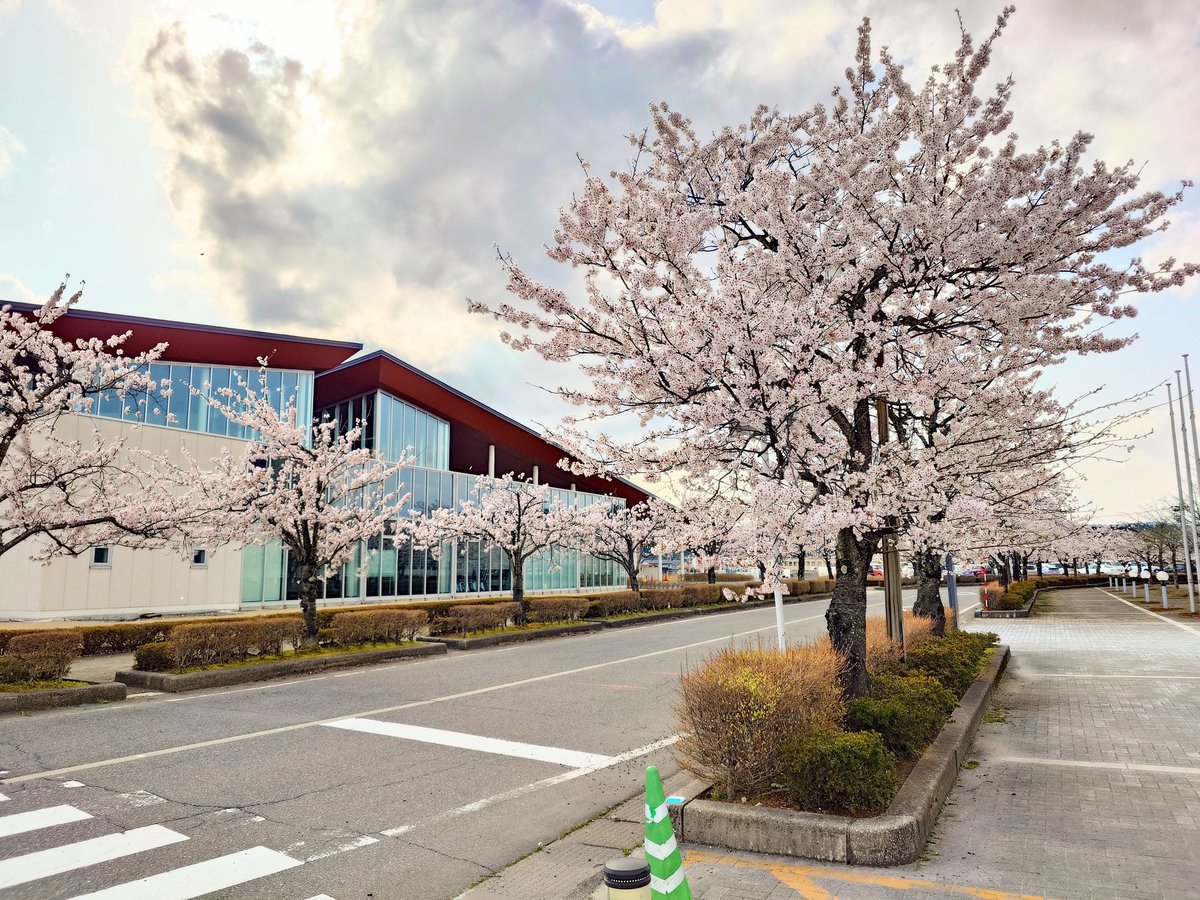 株式会社 珠洲製塩【公式】 tweet media