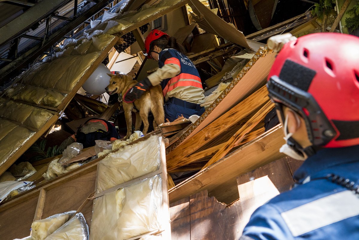 空飛ぶ捜索医療団(災害緊急支援プロジェクトARROWS) tweet media