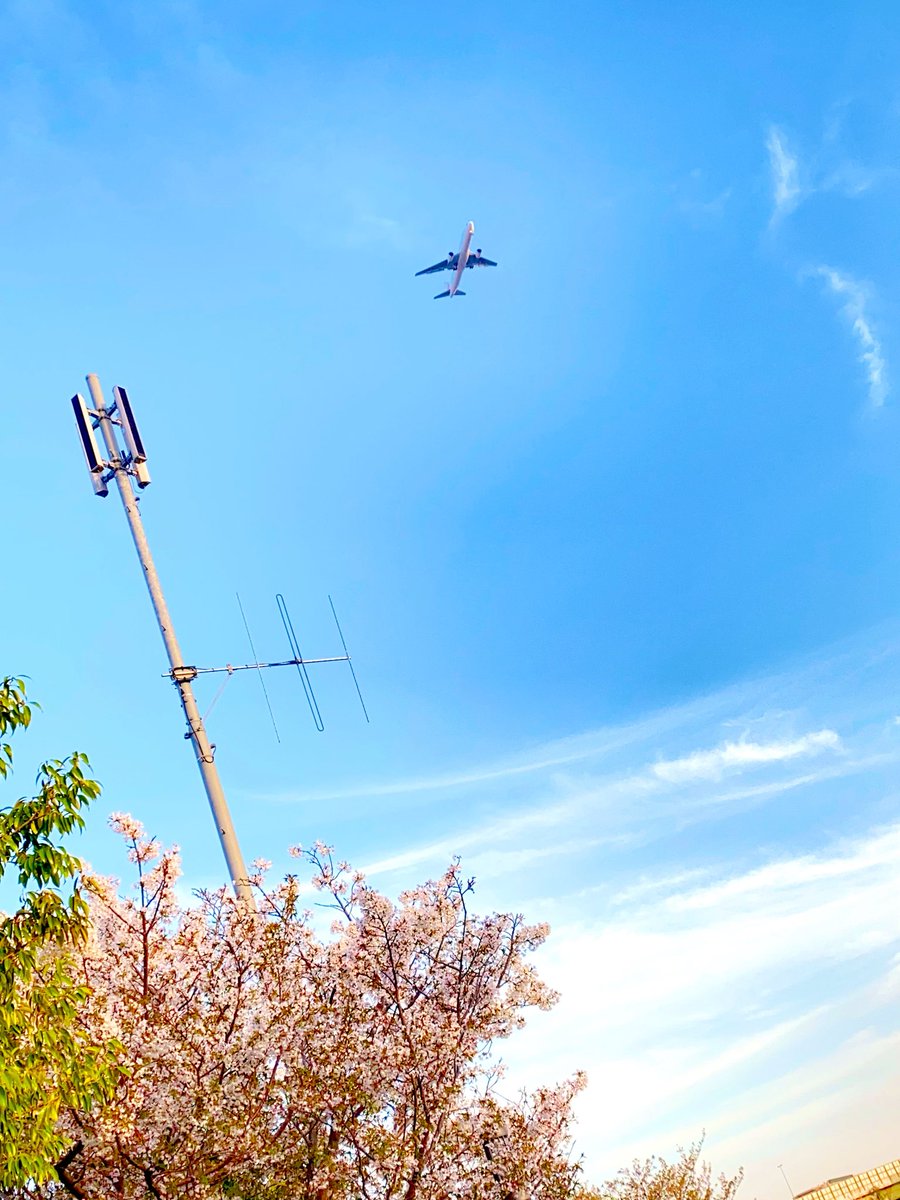 ᑦᑋ੨иPONY★姫☆ tweet media