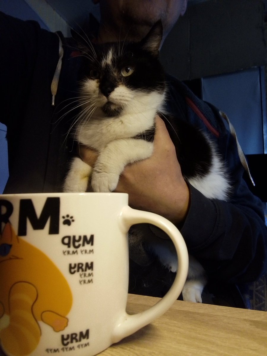 Розбита Бородянка tweet media