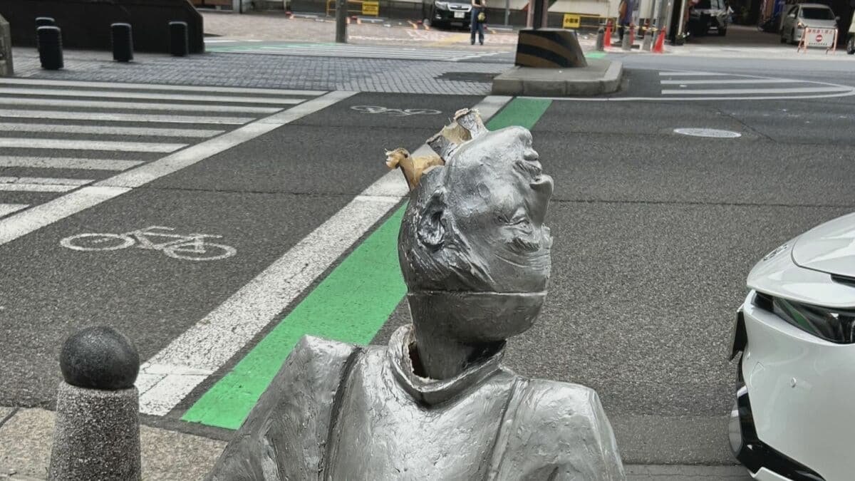 ライブドアニュース tweet media