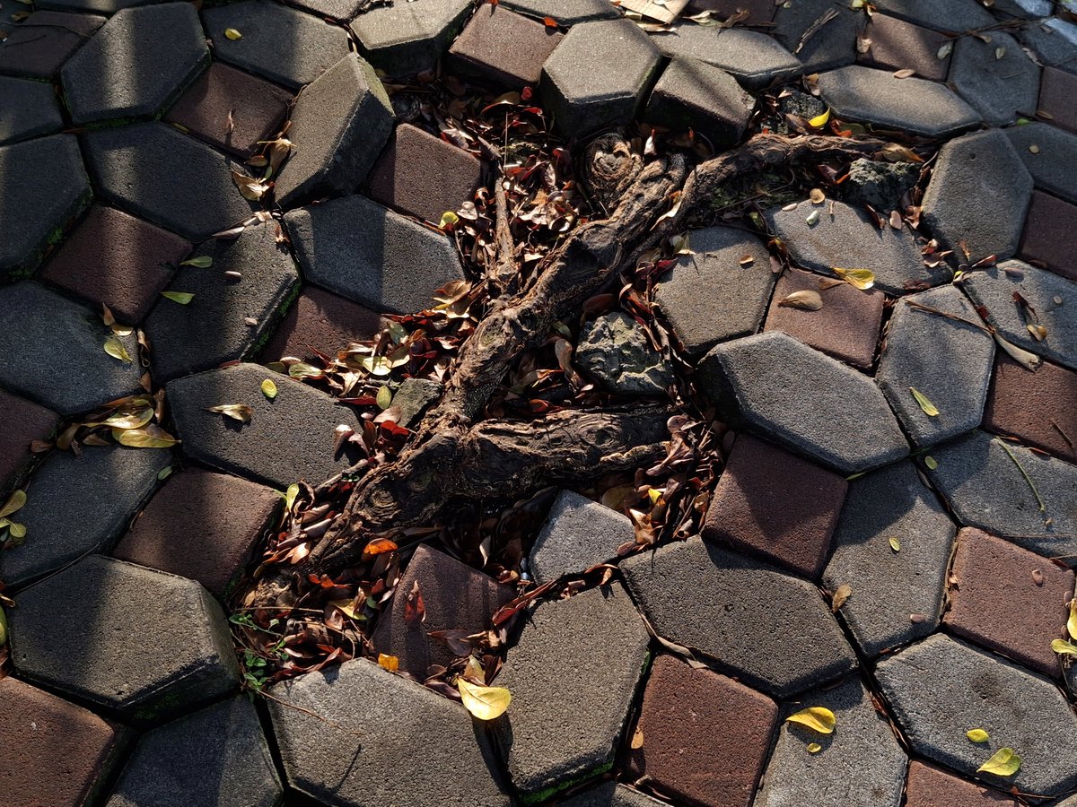 Salsabila 🫒 tweet media