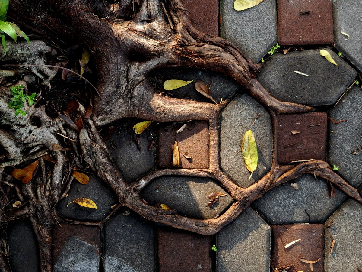 Salsabila 🫒 tweet media