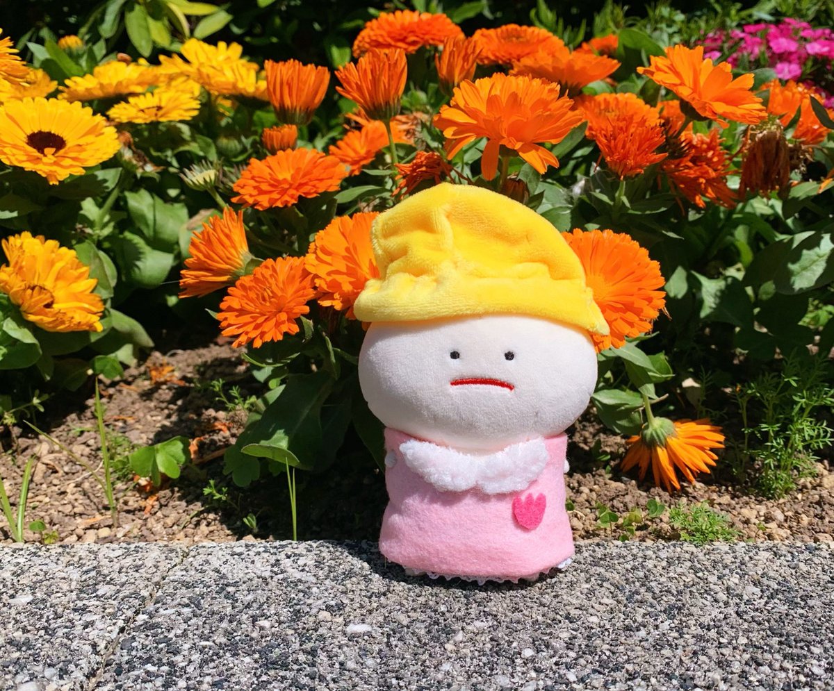 にゅうえんしました📛🖍
チューリップぐみ です🌷

#ぬいぐるみ #ぬい撮り #みじめちゃん #春のSNSなんでも展示会 #ぬい活