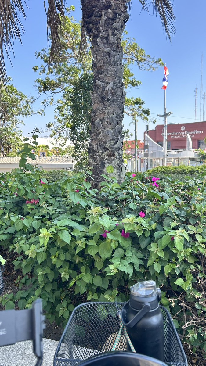 สเปียร์สพัทยา tweet media