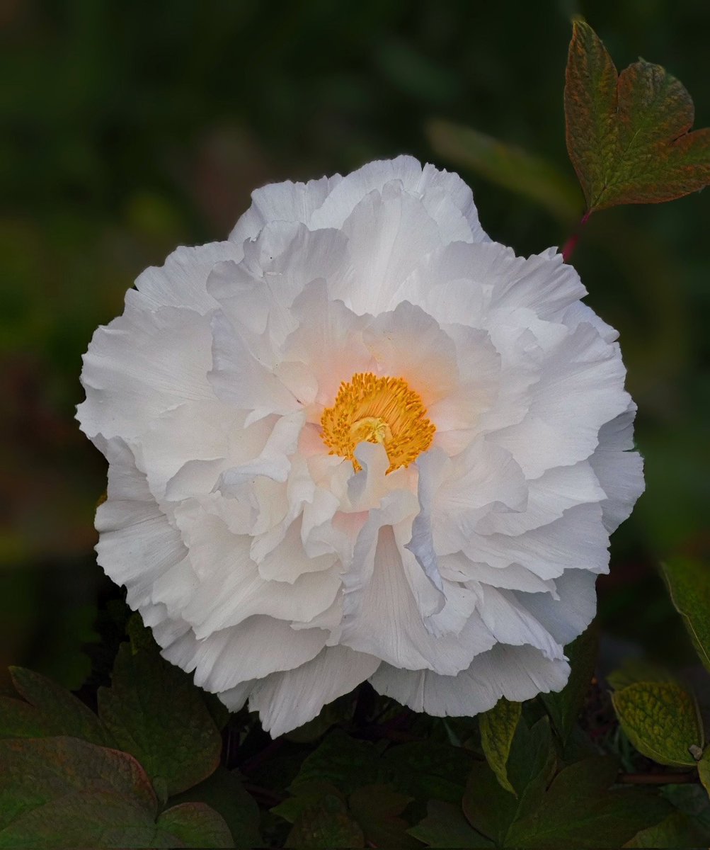 西村敏嗣 tweet media