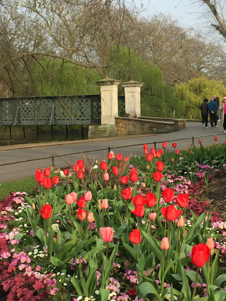 영국인의밥상 tweet media