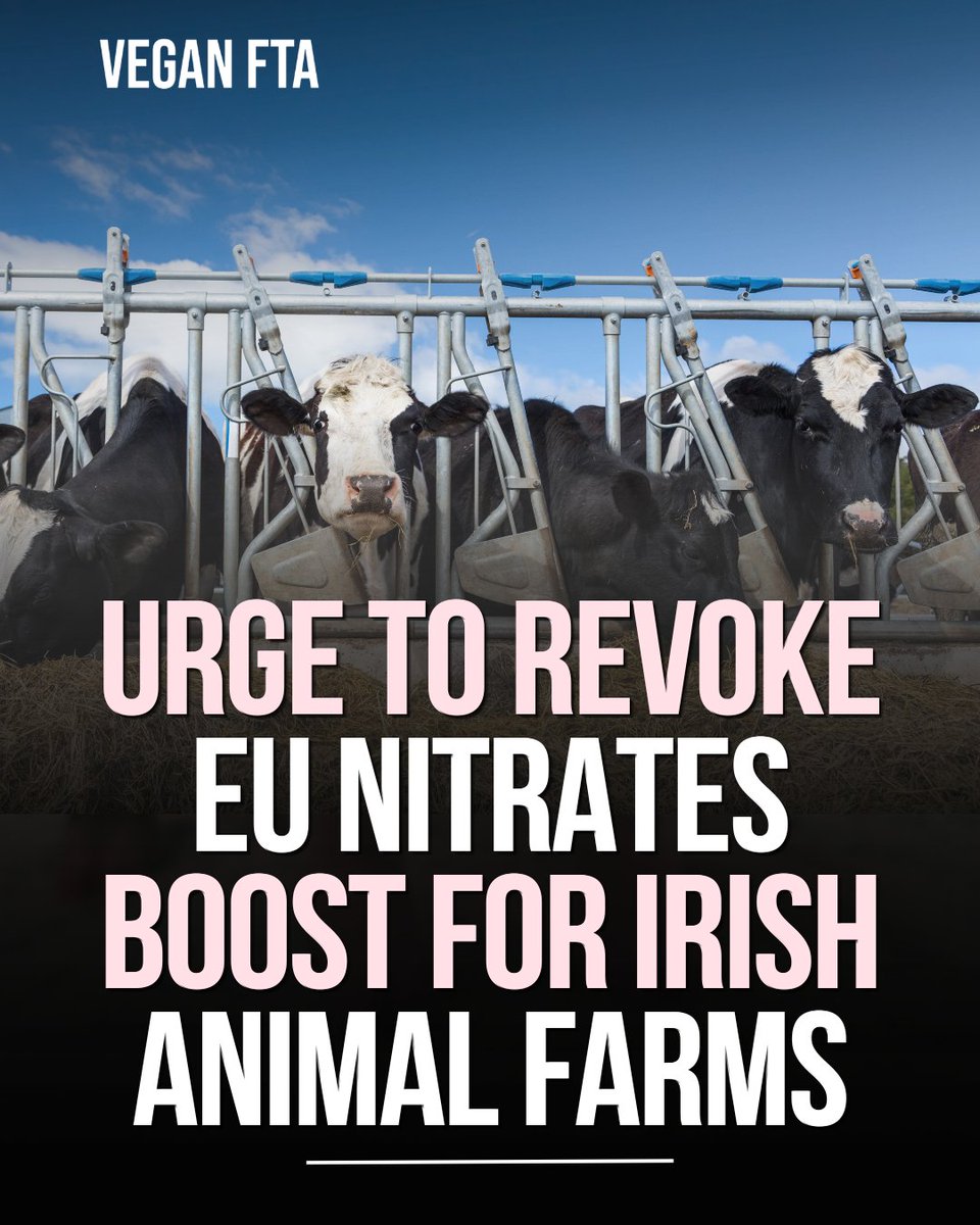 teamveganfta's tweet image. An Taisce has formally asked the European Commission to overturn its decision to extend Ireland’s nitrates derogation for animal farms for another three years. 🐄

Read the full article 👇
veganfta.com/articles/2026/…

#farming #pollution #waterpollution