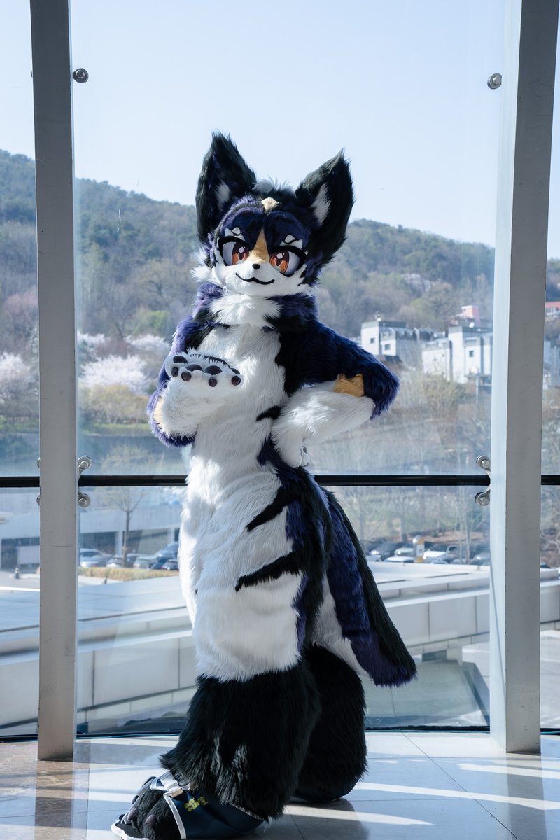 FUR+PLUS tweet media