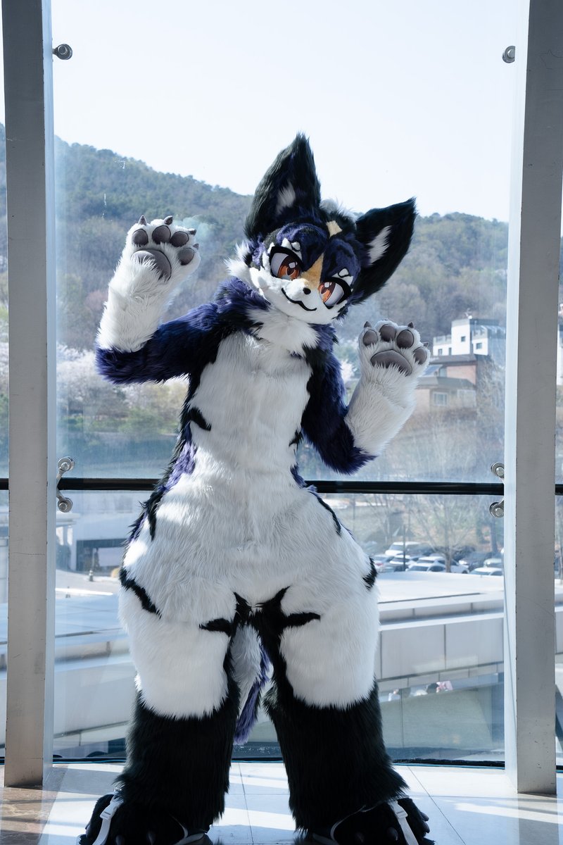 FUR+PLUS tweet media