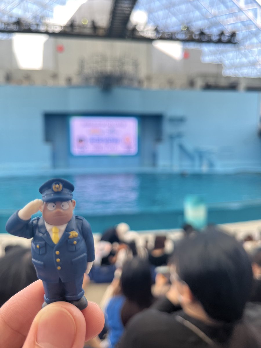 ひたぎ tweet media