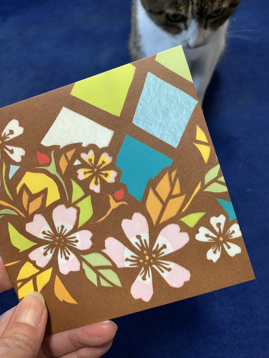 MaybeChubby tweet media