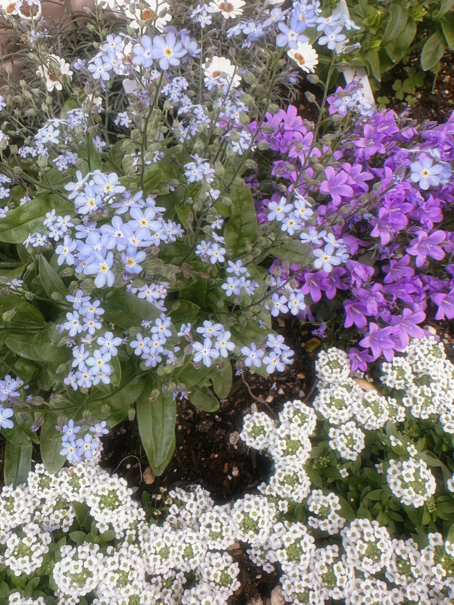 ヌマタヌマコ🥐 tweet media