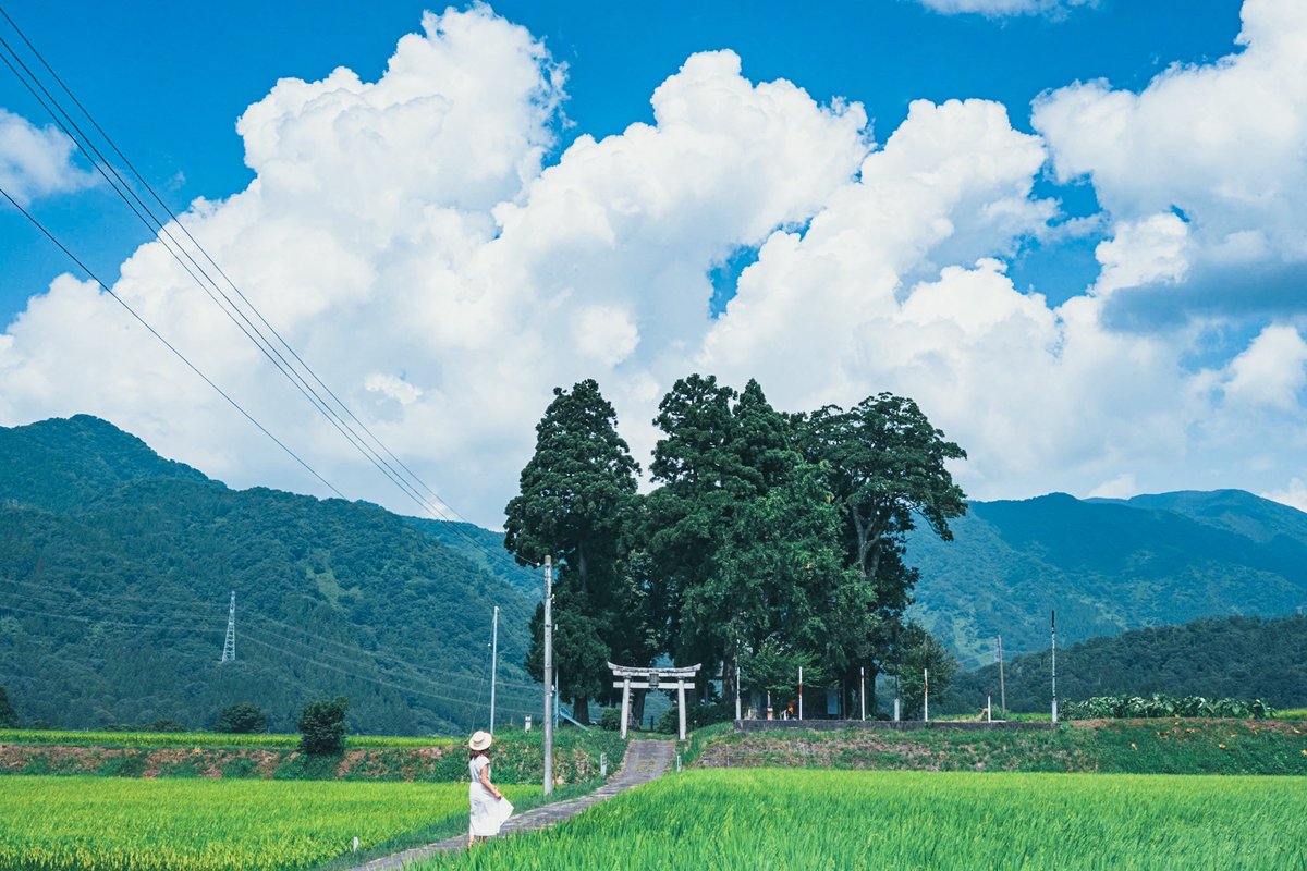 おくで tweet media