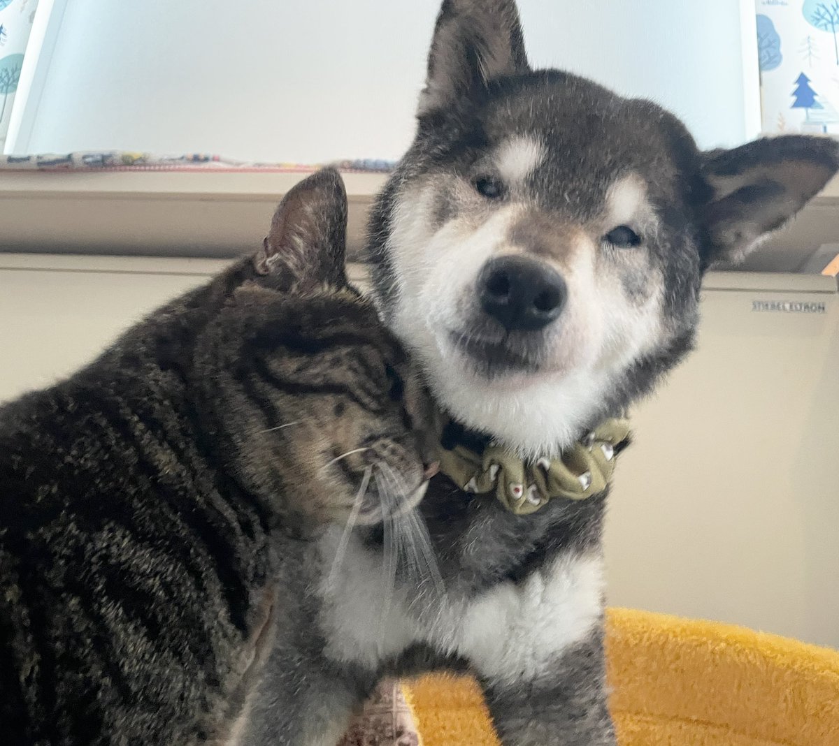 おねっさん tweet media