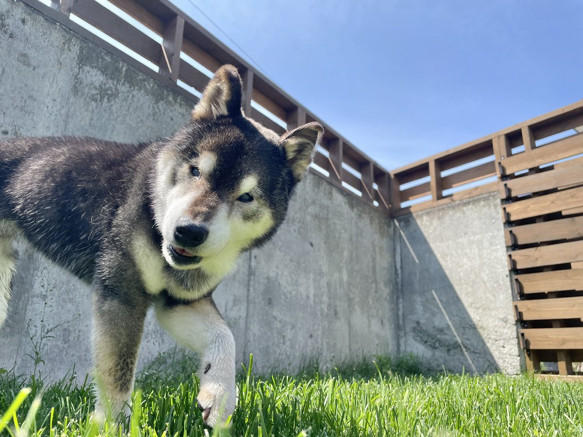 おねっさん tweet media