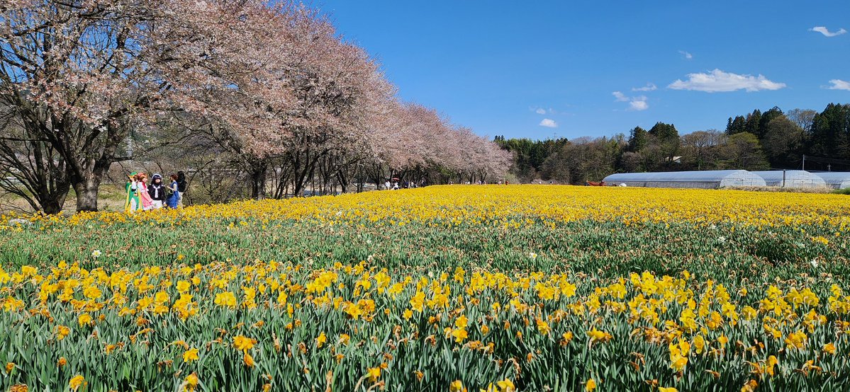 ぐっﾁｬﾝ tweet media