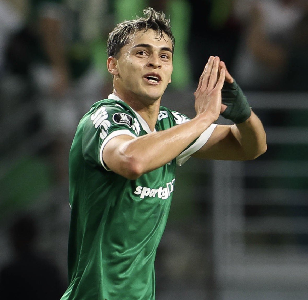 Papo Alviverde tweet media