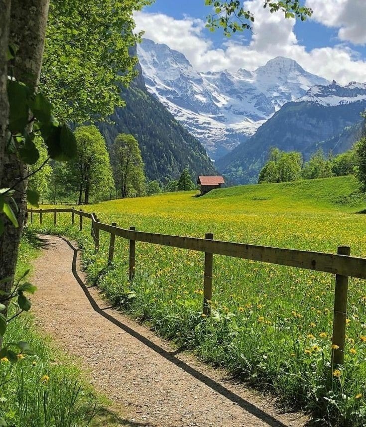 𝑙𝑦𝑟𝑎 tweet media