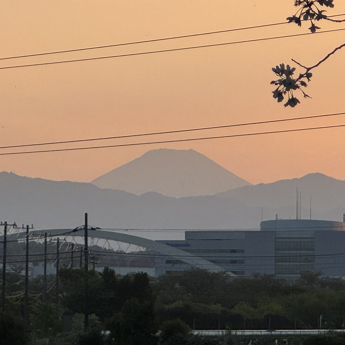 T3/星野夢見 tweet media