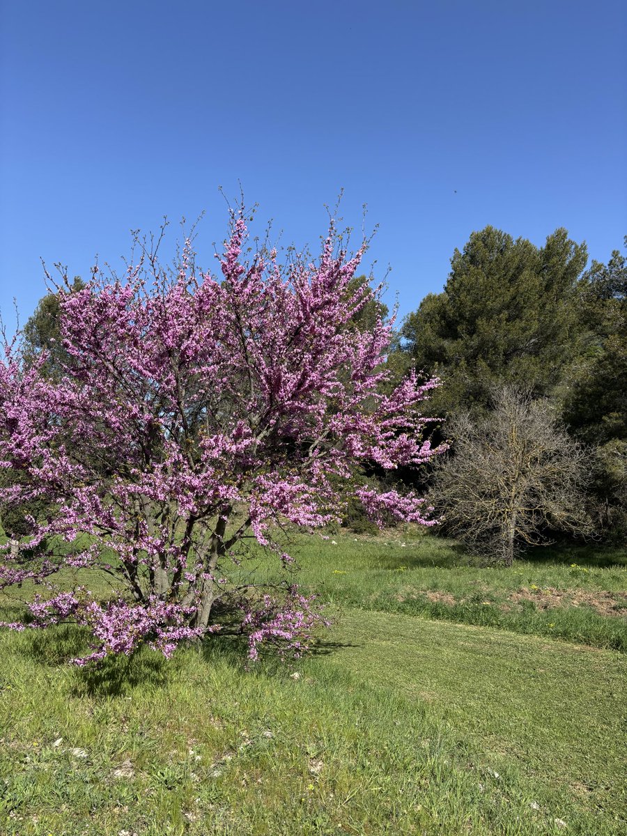 Delphine VERRIER tweet media