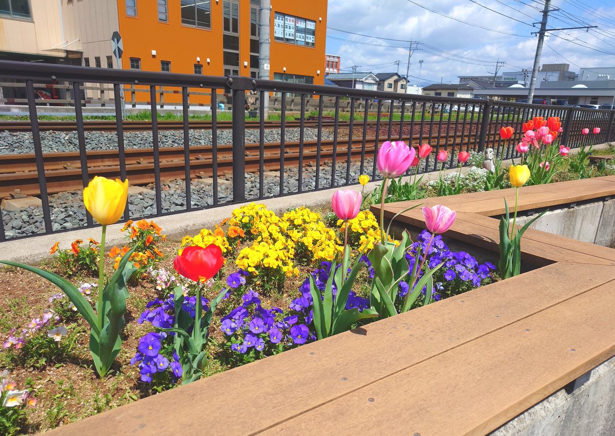 ぶう🦖 tweet media