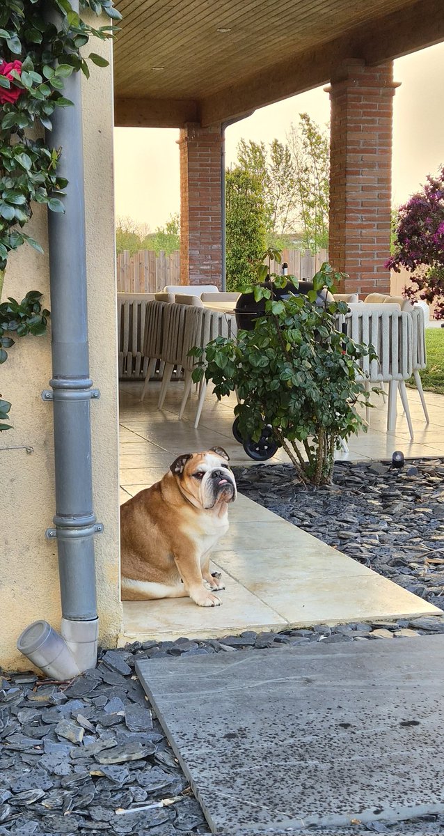 Miss Moneypenny tweet media