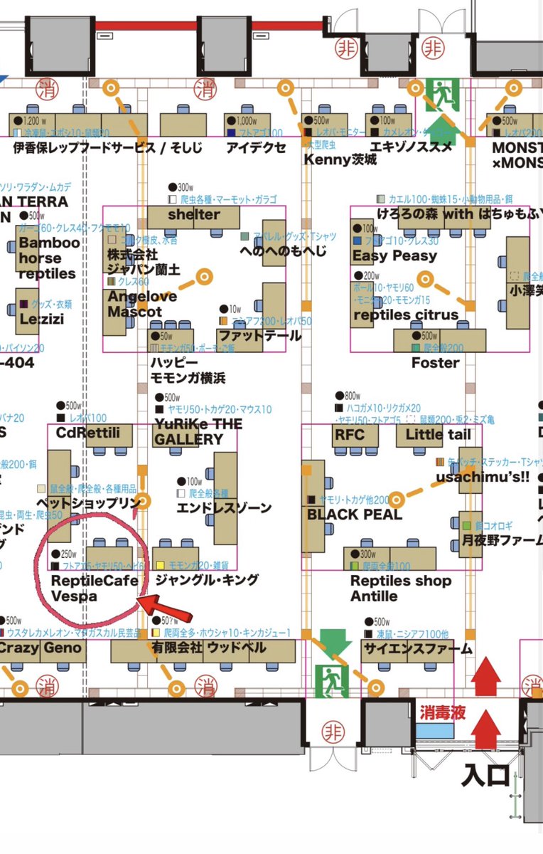 ReptileCafe Vespa (爬虫類カフェ/専門店) tweet media