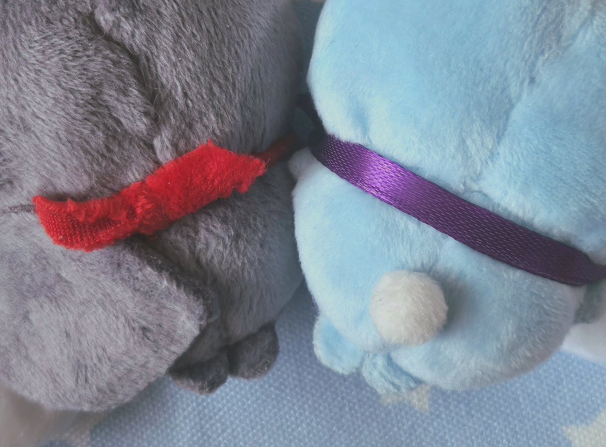 홍삼캔디🌱 tweet media