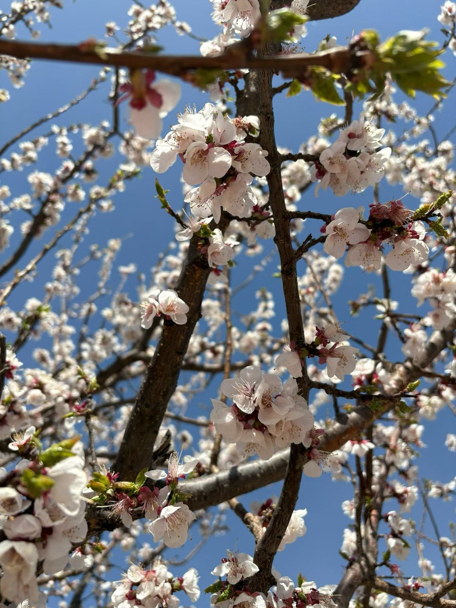 @奔波而霸 tweet media