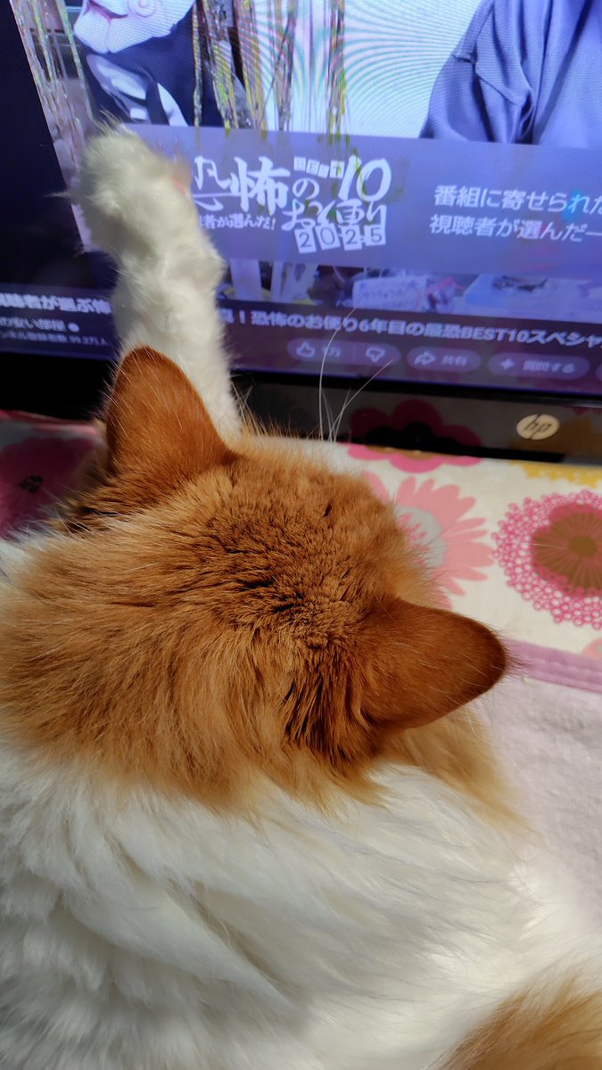 ミュート tweet media