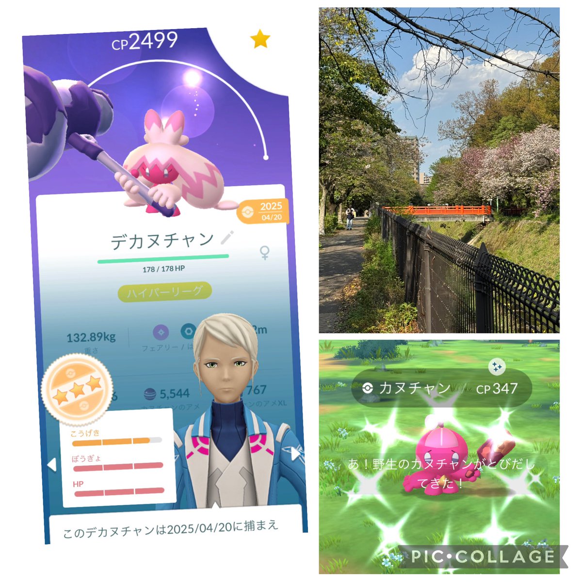 ゴウ tweet media