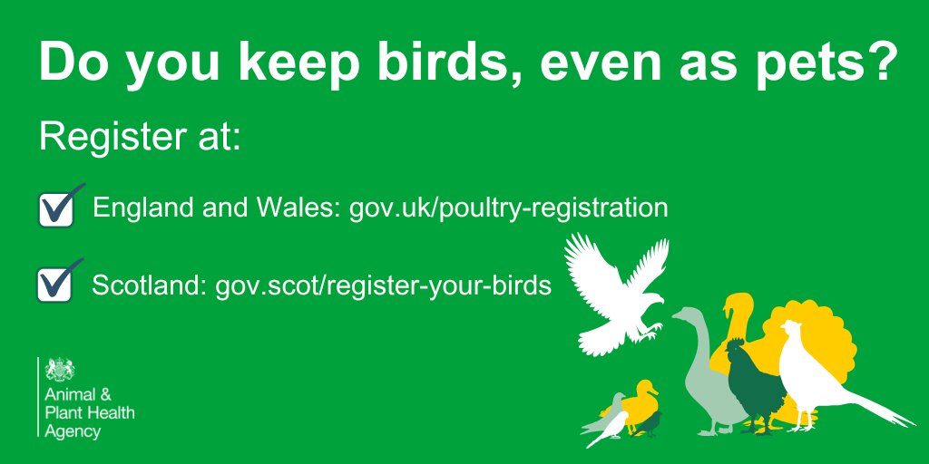 WTStds's tweet photo. If you keep birds please register them so we can let you know about outbreaks of #BirdFlu in your area to help you keep your birds safe. 

Registration is easy. 

Visit: https://t.co/GWRdgA8YKr for England and Wales, https://t.co/w8m0a1W4G6 for Scotland #AvianInfluenza https://t.co/6u3UgGuZJg