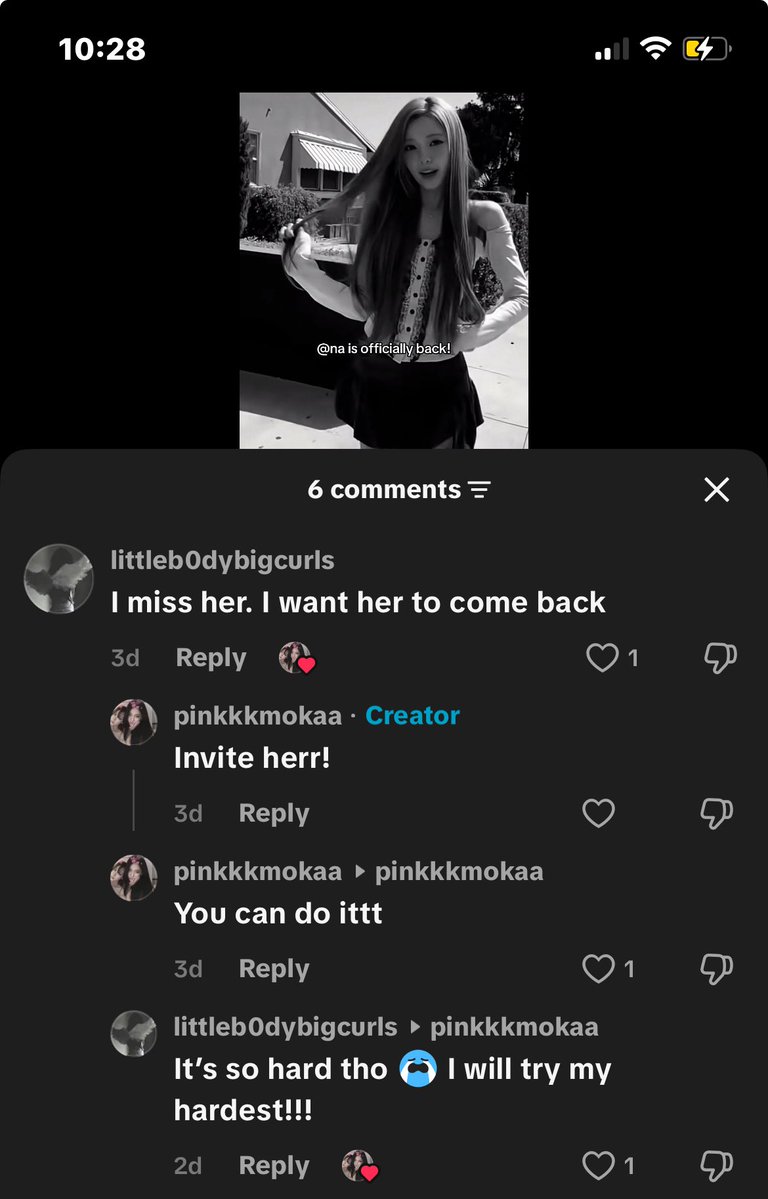 calico ᶻ 𝘇 𐰁 tweet media