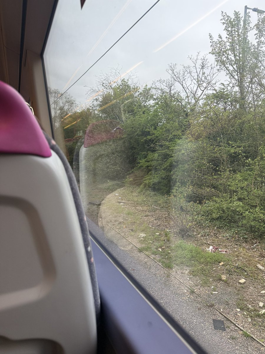 George Capp tweet media