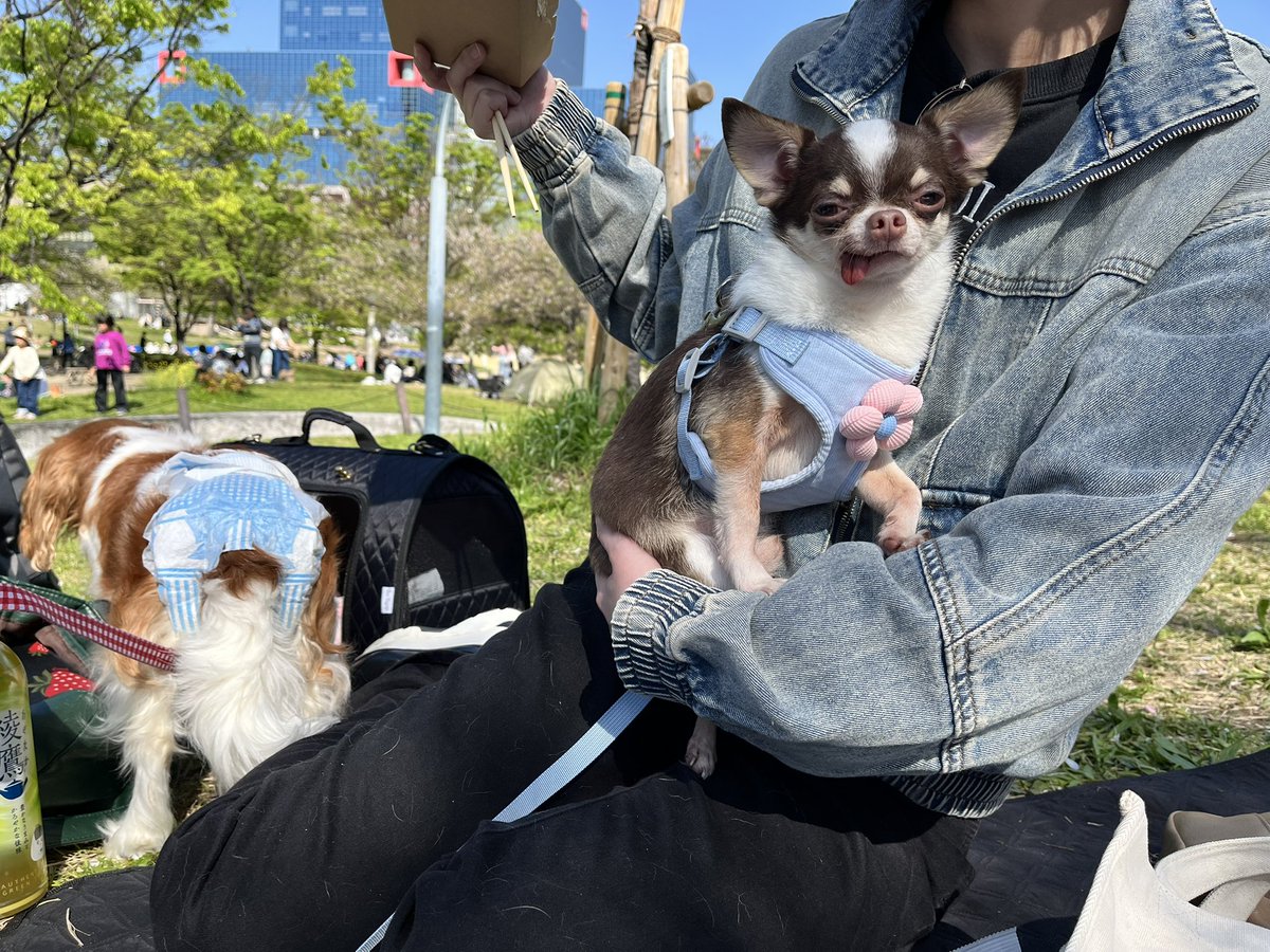 DINING BAR YUMMY SMILE/大阪 ビアンバー tweet media