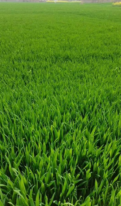 fredbayus1's tweet photo. https://t.co/kXL1IX1mbK