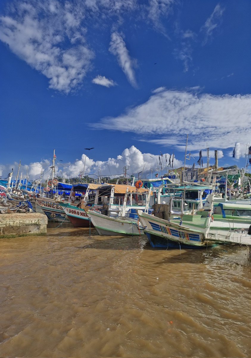 Belém City. tweet media