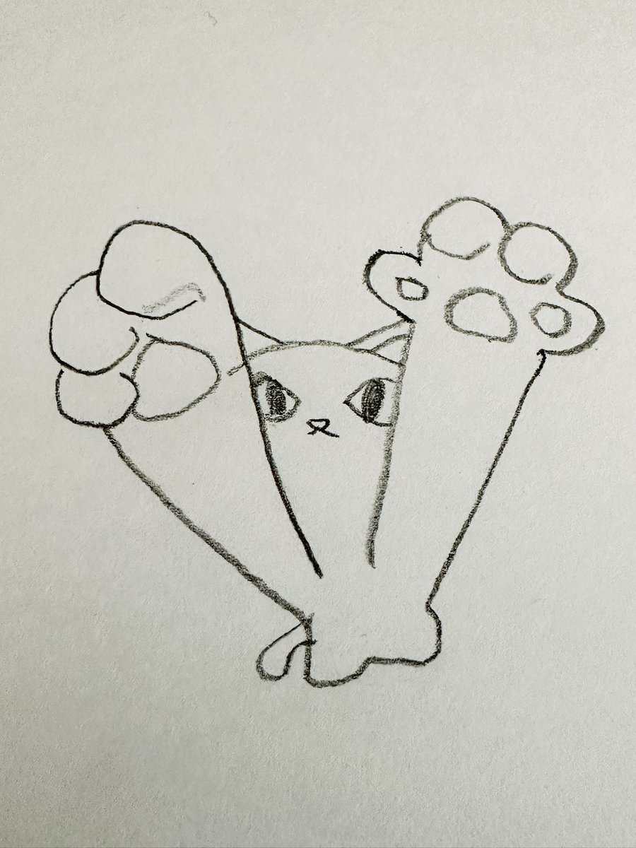 ねこまみれ tweet media