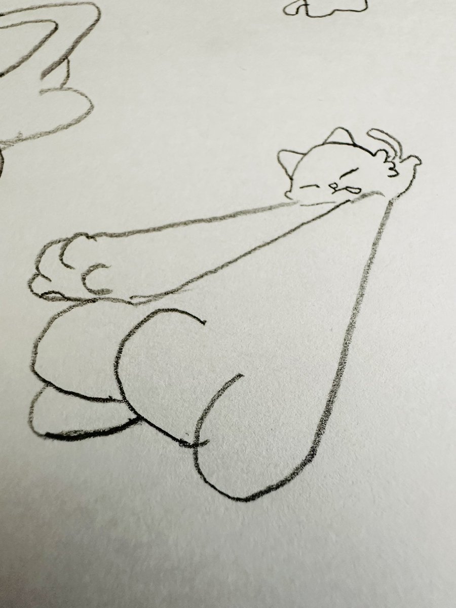 ねこまみれ tweet media