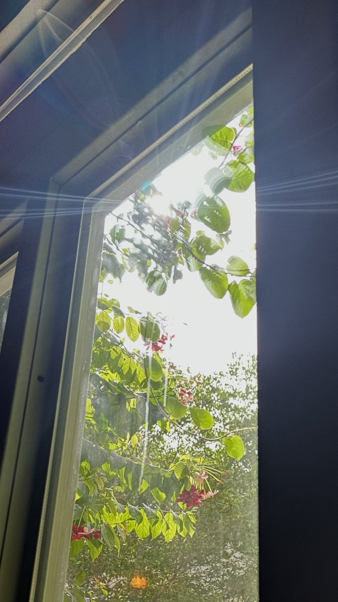 1Lawsa's tweet photo. عشوائيات مليئة بضوء الشمس ☀️ https://t.co/66h1aGS5n8