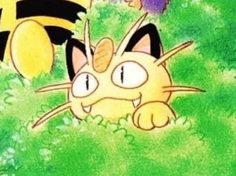 daily meowth !! tweet media