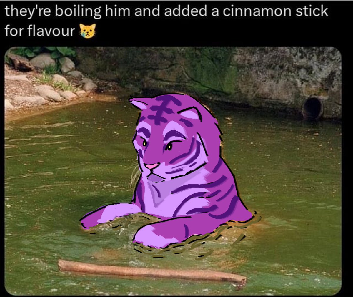 Misty Magic tweet media