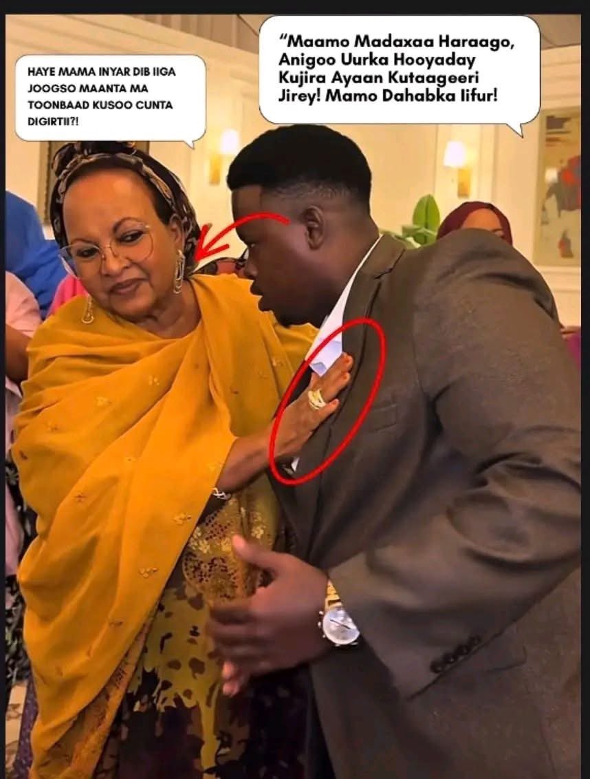 kiiko (Emir of Adal ) tweet media