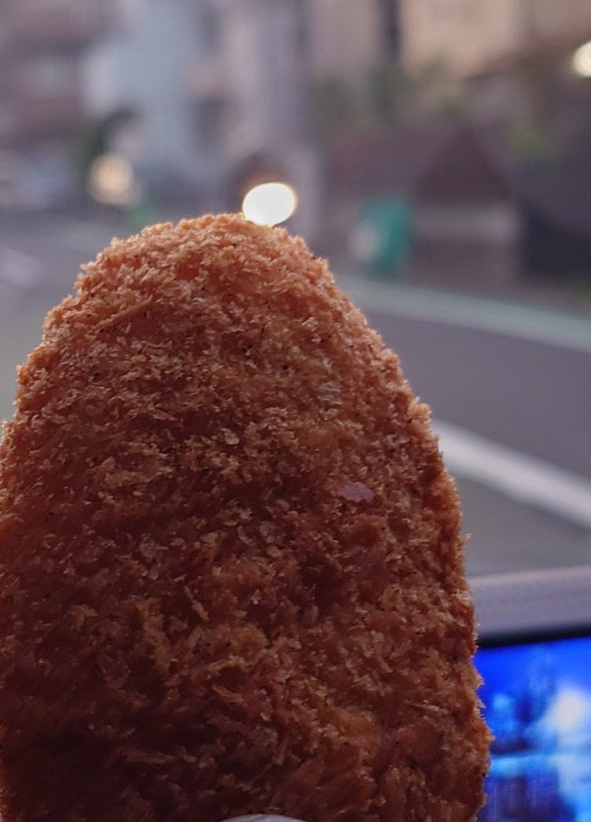 こたつねこ774 tweet media