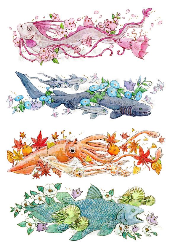 MEG🦑🐙🌸 tweet media